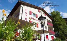 Hotel Sörenberg